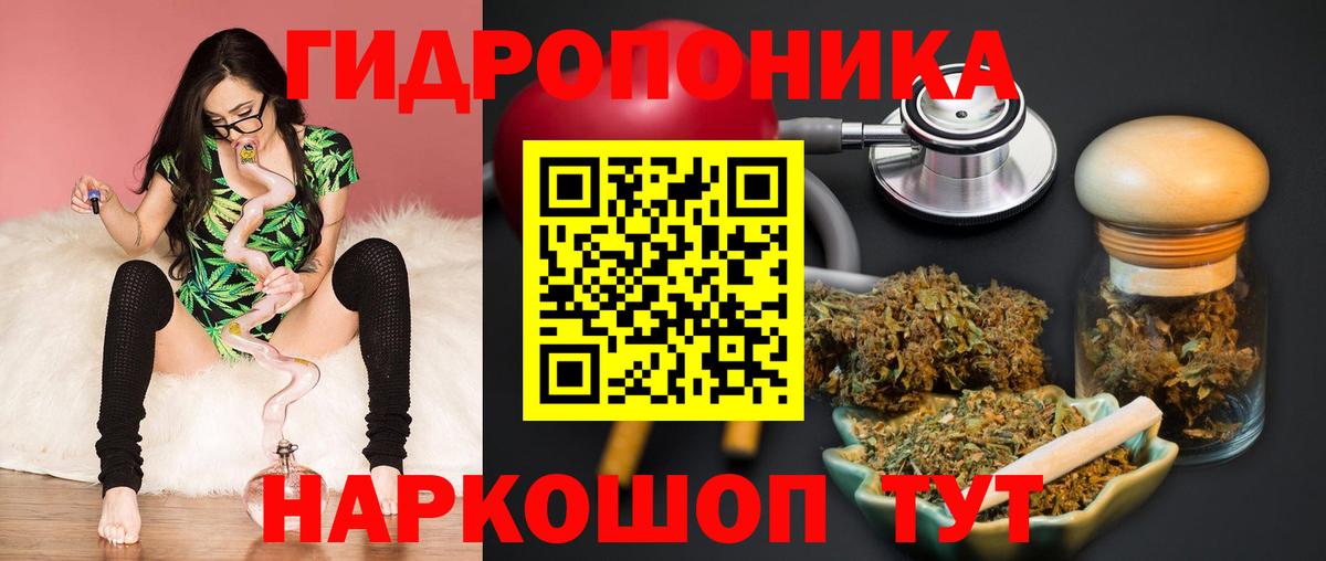 Калининград  Бошки марихуана марихуана  Вход с VPN  Канабис THC 21%  Бошки Шишки тримм  Конопля планчик 